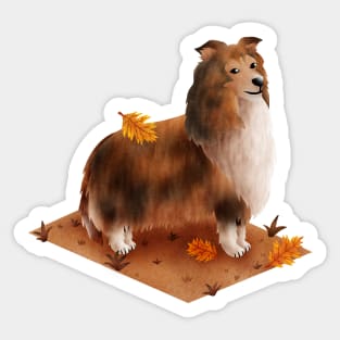 Rough Collie (Shetland Sheepdog) Sticker